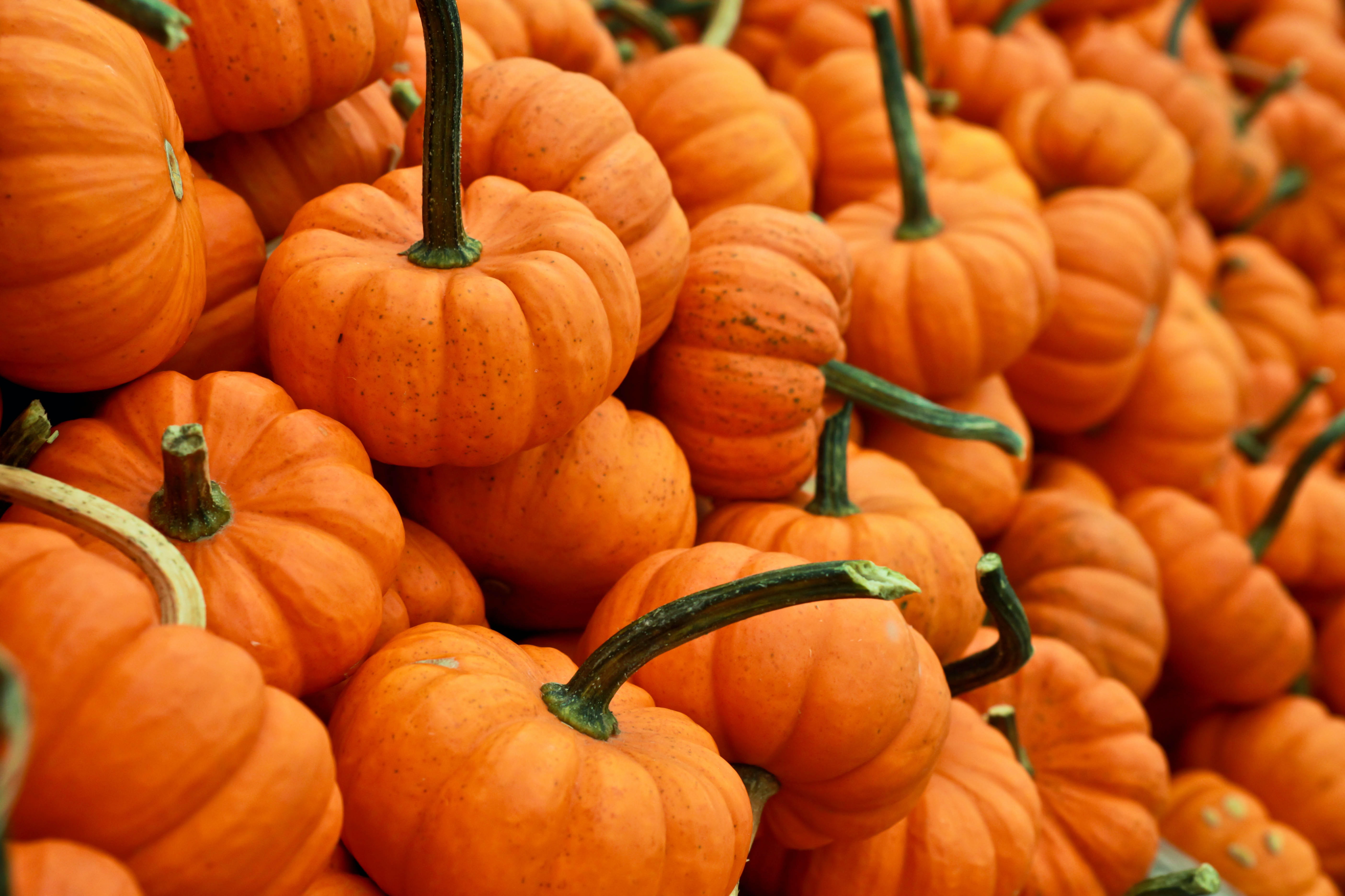 seasonal background