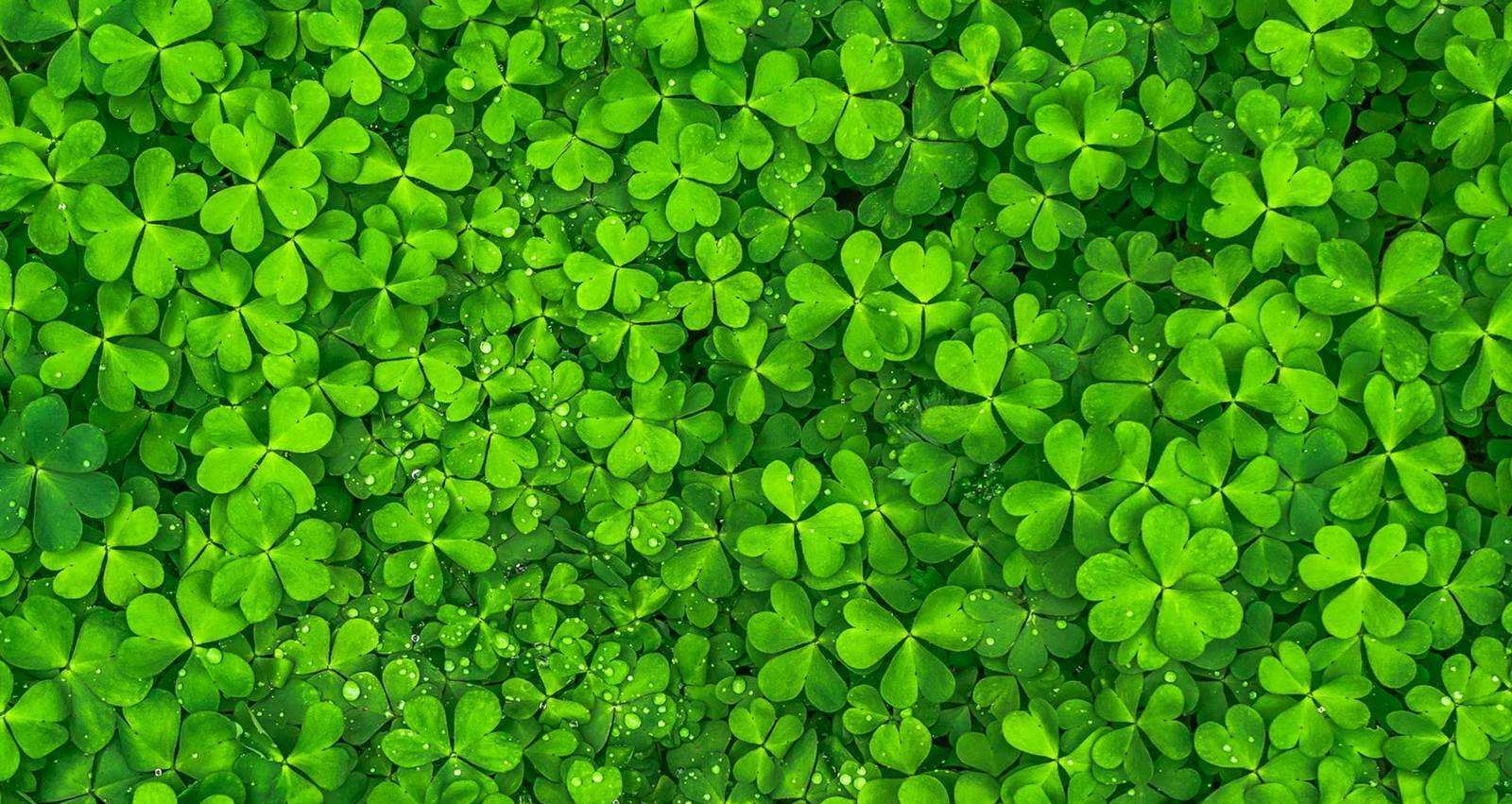 seasonal background